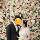 비라비 | W.14 본식스냅은 '오브비스냅' 촬영후기