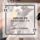 고양이 간식 츄르 추천 캣츠모리 물좋은스틱 4종 급여 후기