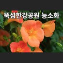 뚝섬한강공원-70 이미지