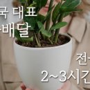 대일플라워