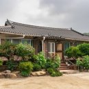 솔나무안집 이미지