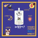 강아지,반하다 이미지