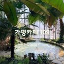 가평카페109 | 서울 근교 카페 식물원이야 카페야? 힐링 가득한 ‘카페 109’ 솔직 후기
