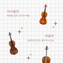 바이올린하우스현악전문학원