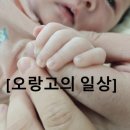 거두택지길1 이미지