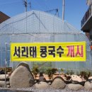 대가손두부 네이버블로그