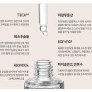 쏠베라
