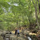경남 밀양 울주군에 있는 백운산 가지산 중봉 산행을 연계 산행으로. 이미지