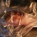 진양봉투 이미지