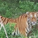 자향농장 이미지