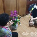 내덕1동 행정복지센터 이미지