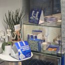 대리 1 대리1구경로당 | 성수 에그타르트 맛집 픽베이크 메이타왕 내돈내산 솔직 비교 후기후기~!