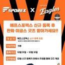 에프스포렉스 이미지