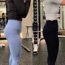 메이저피트니스 이미지