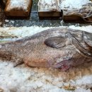 서남구수협앞 이미지