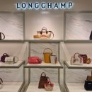 현대자동차(송월점) | [했지 in 마쓰야마_2일] 마쓰야마 여행 중 다카시마야 백화점 명품 구찌, 루이비통, 롱샴 저렴하게 쇼핑...