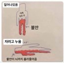 사라애드 이미지