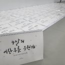 용인대 국가대표 태권도 2관 이미지