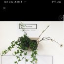 자연꽃예술원