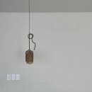 단비고집 이미지