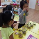 오산시보건소 이미지