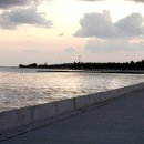 5년전 Florida Key West를 여행하였습니다. 이미지