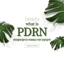 [ 뷰티 ] 핫한 성분 PDRN 화장품 파헤치기 ( 함량비교, 인공눈물 vs 화장품, 성분은 진짜 PDRN일까? )