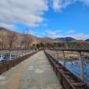 자라섬 중도 | [가평 여행] 보더콜리 헤이와 함께한 여유 가득 자라섬 산책 (애견동반 꿀팁!)