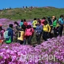 진달래목장 이미지