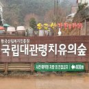 대관령 치유의 숲 이미지
