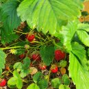 태안스테이션 이미지