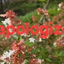 For delay dementia 1,026 Easy english 이미지
