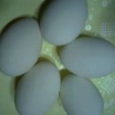 중랑식자재 이미지