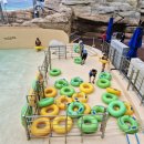 일성레저산업(주)경주지점 | 삼척 쏠비치 리조트 오션플레이 /할인/ 삼척 아이와 가볼만한곳