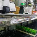 횡성농협 하나로마트 이미지