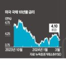비둘기밧데리 이미지