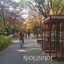 도화지 이미지