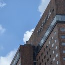 고르댕 | 서울 신라호텔 더 라이브러리 망고빙수 &amp; 패스트리 부티크