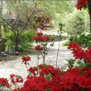 쉴만한물가 이미지