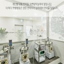 더하다한방병원 이미지