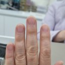 네일품은손