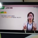 해내다GYM | 시원스쿨진짜학습지_풀패키지 17일 후기