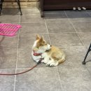 주록계곡민박 이미지