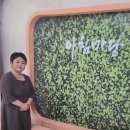 백년결혼 이미지