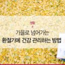 가을PT 네이버블로그