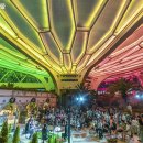 클래식기타(야간) 이미지