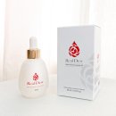 엘엔케이주식회사 이미지