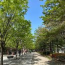 경의선숲길 이미지