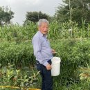 주)네이처이온에너지