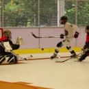 영덕레스피아 인라인하키장 이미지